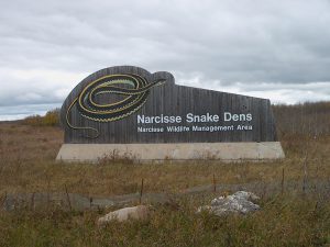 Narcisse Snake Dens Sign